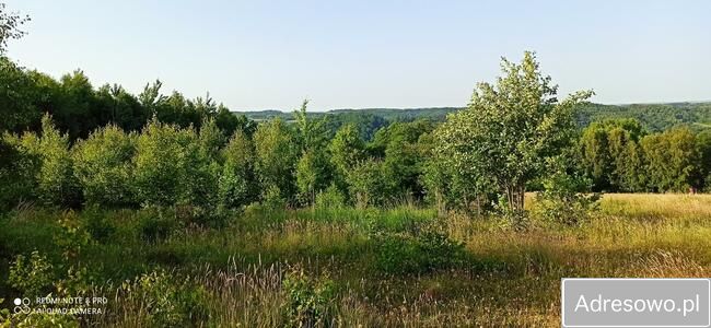 Działka rekreacyjna Hłudno. Zdjęcie 2