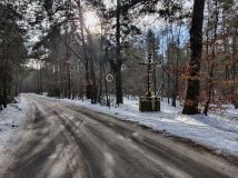 Działka leśna Nowy Staw. Zdjęcie 3