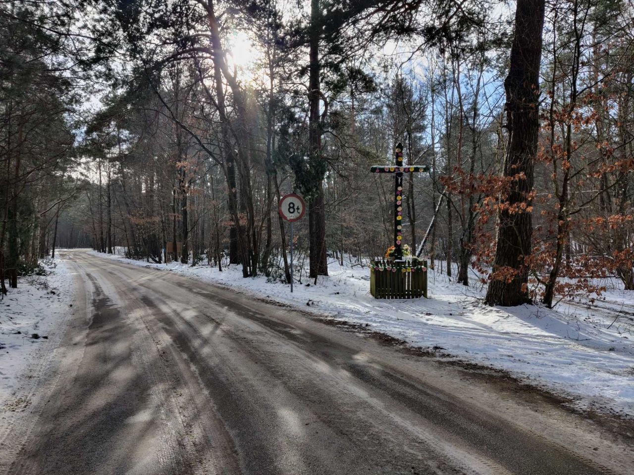 Działka leśna Nowy Staw. Zdjęcie 4