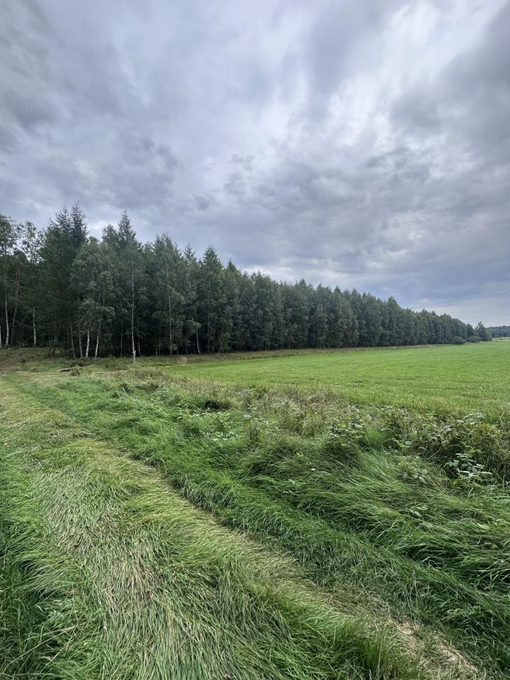 Działka leśna Łętowo. Zdjęcie 2