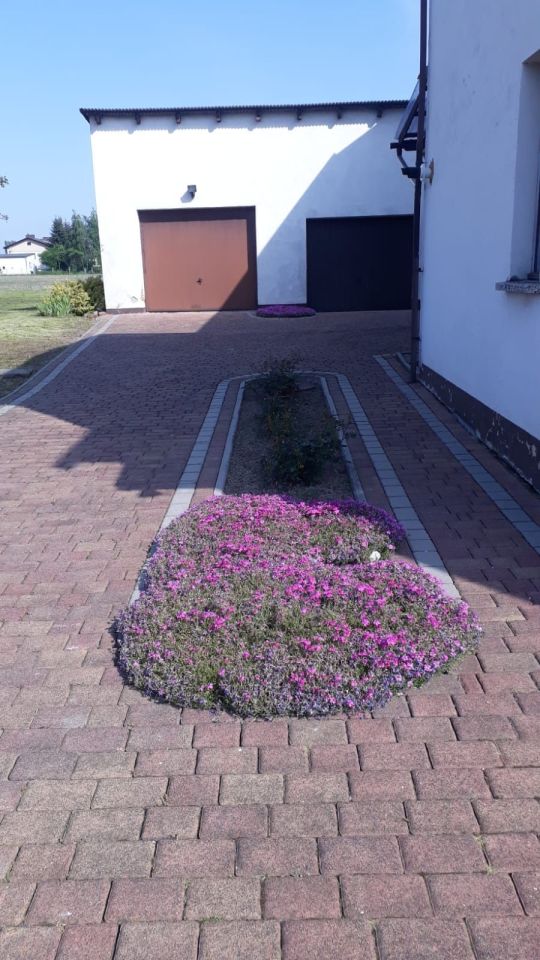 dom wolnostojący Krzyżanowice. Zdjęcie 2