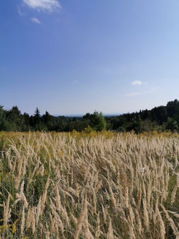 Działka budowlana Dojazdów, ul. Pogodna. Zdjęcie 1