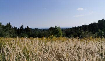 Działka budowlana Dojazdów, ul. Pogodna
