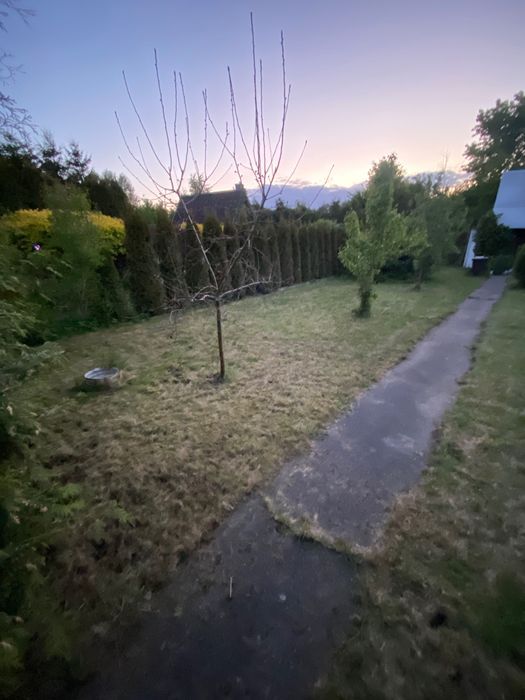 Działka rod Pisz, ul. Gdańska. Zdjęcie 8