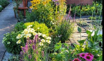 Działka rekreacyjna Wrocław Fabryczna, ul. Wojanowska