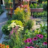 Działka rekreacyjna Wrocław Fabryczna, ul. Wojanowska. Zdjęcie 1