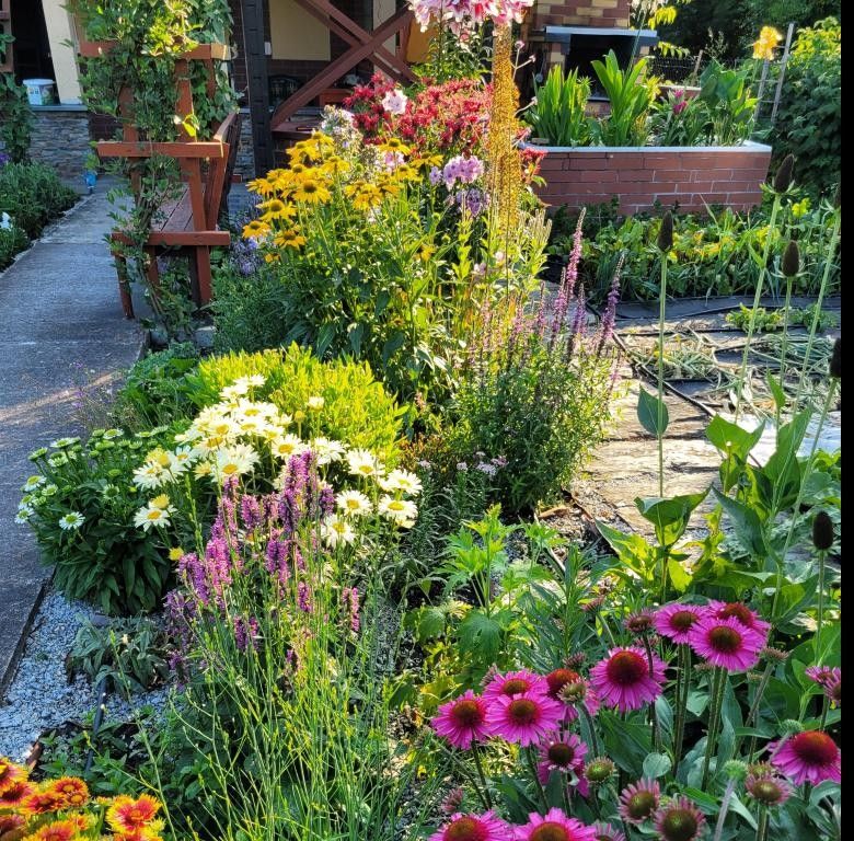 Działka rekreacyjna Wrocław Fabryczna, ul. Wojanowska. Zdjęcie 2