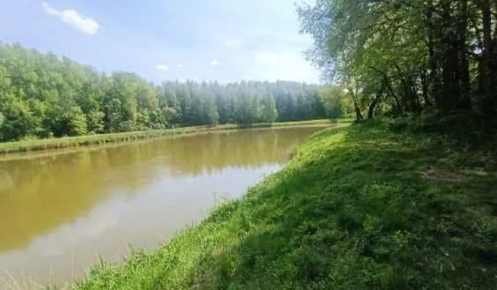 Działka rolna Hopkie