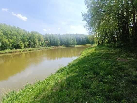 Działka rolna Hopkie. Zdjęcie 1