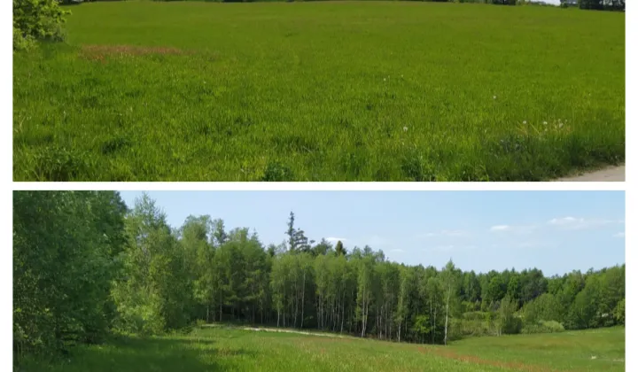 Działka budowlana Brodnica Górna, ul. Na Bagnach