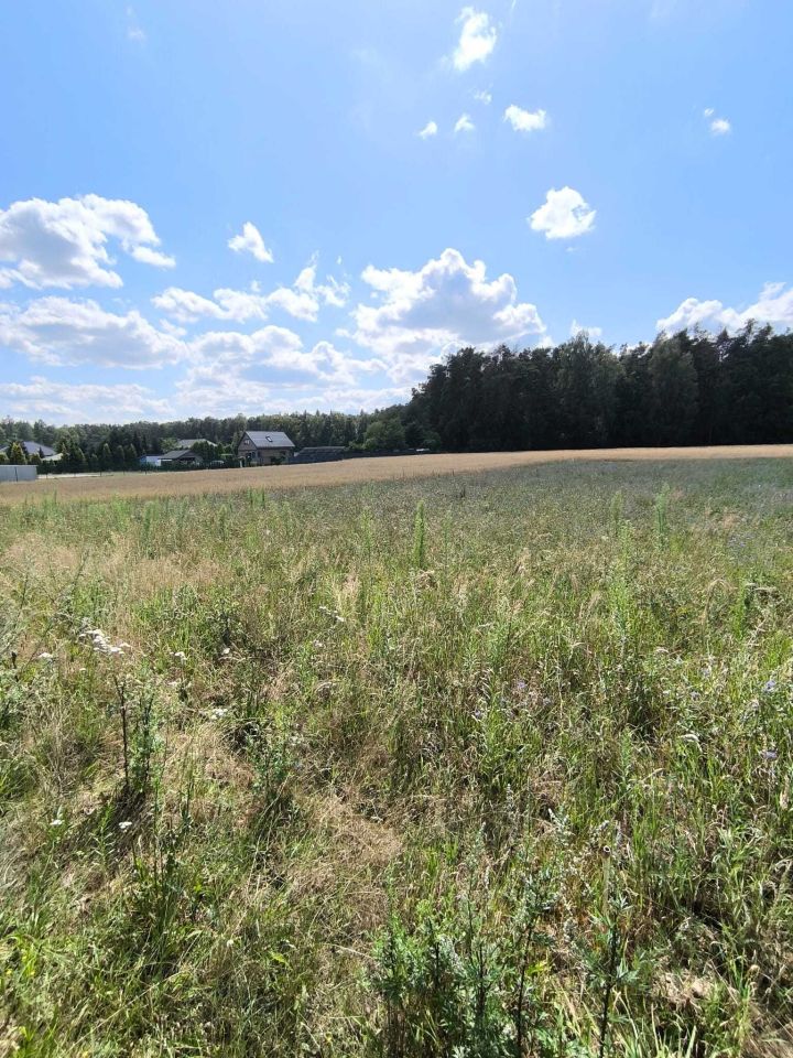 Działka budowlana Lubiaszów Nowy Lubiaszów, ul. Dębowa. Zdjęcie 2