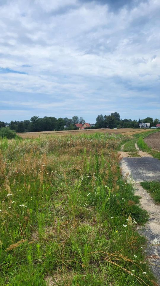 Działka rolno-budowlana Gniewczyna Tryniecka. Zdjęcie 4