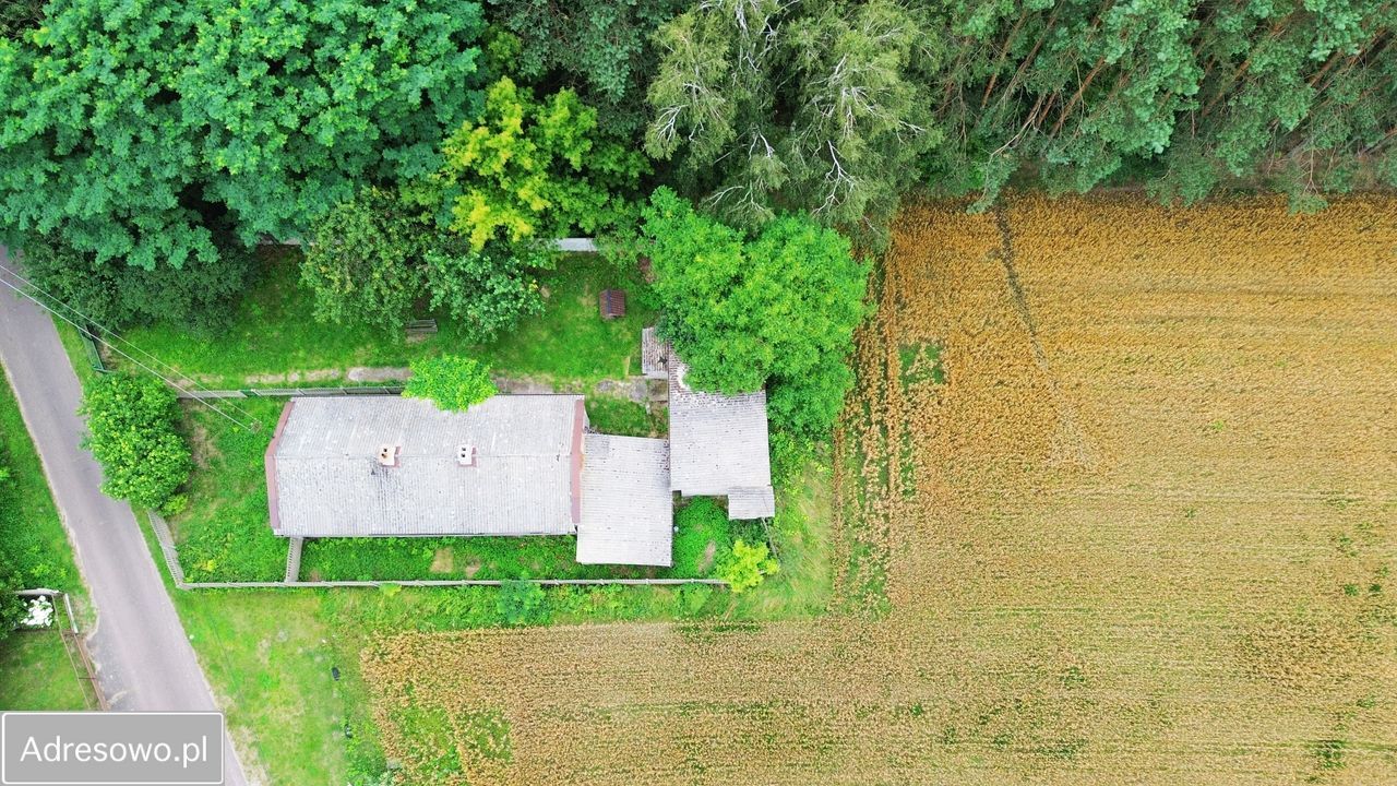 Działka rolno-budowlana Polesie. Zdjęcie 3