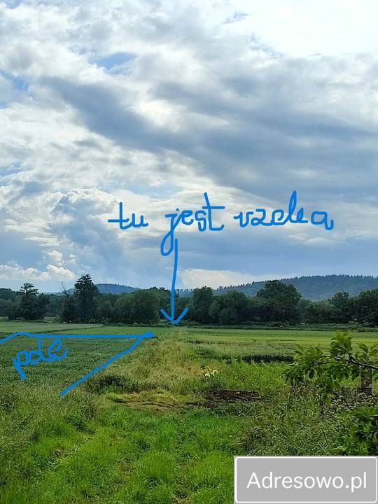 dom wolnostojący Bliszczyce. Zdjęcie 6