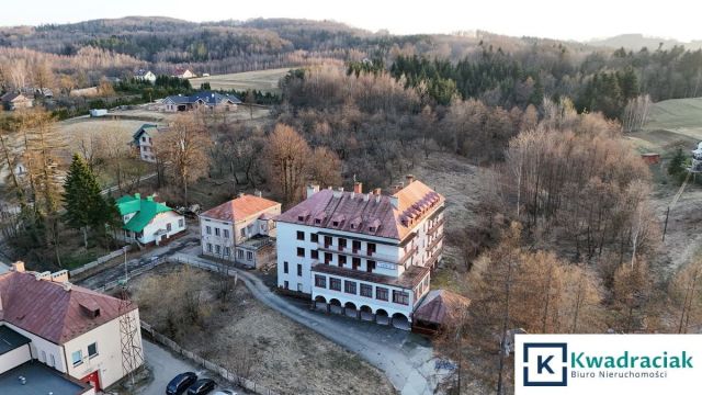 Lokal Gwoźnica Górna. Zdjęcie 1