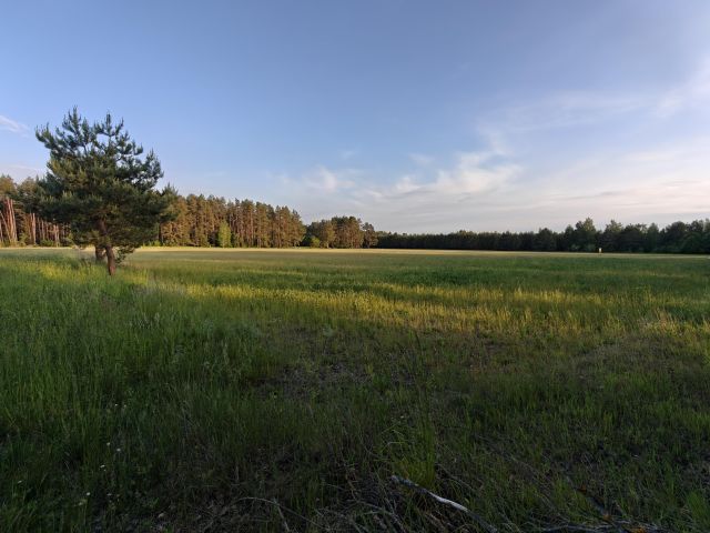 Działka rolna Faryny, Faryny. Zdjęcie 7