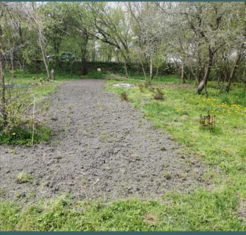 Działka rod Lublin Dziesiąta, ul. Adama Mickiewicza. Zdjęcie 1