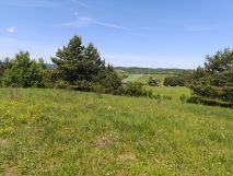 Działka budowlana Ryczówek Pod Lasem, ul. Krzewowa. Zdjęcie 4