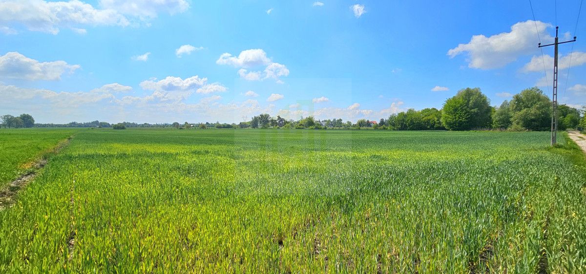 Działka budowlana Bieniewice, ul. Słowicza. Zdjęcie 4