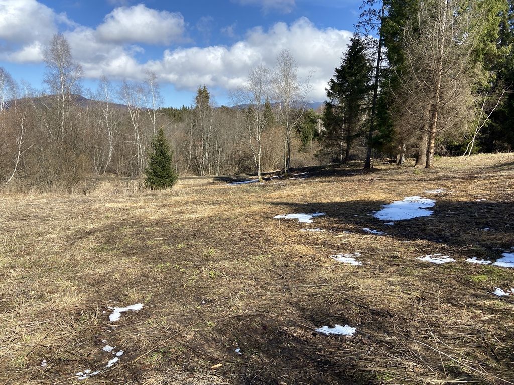 Działka budowlana Strzebowiska. Zdjęcie 9