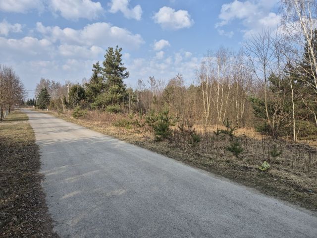 Działka budowlana Baranów Sandomierski, ul. Borowa. Zdjęcie 1