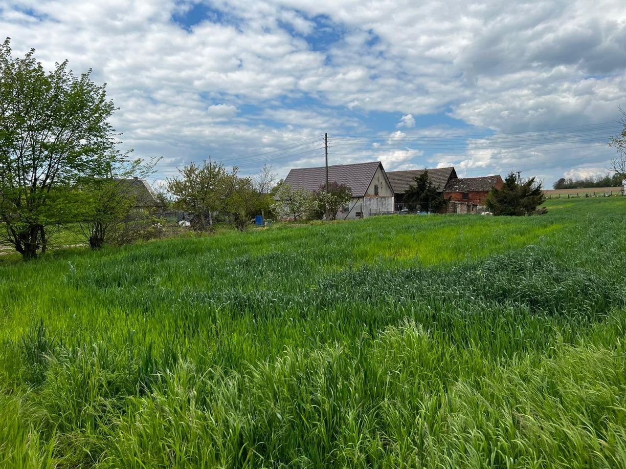 Działka budowlana Goszków. Zdjęcie 10