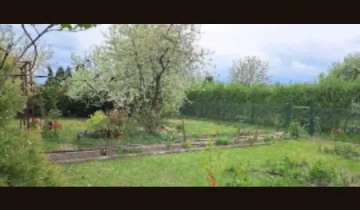 Działka rod Piotrków Trybunalski, ul. Przemysłowa