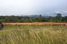 Działka rolno-budowlana Byczeń. Zdjęcie 2