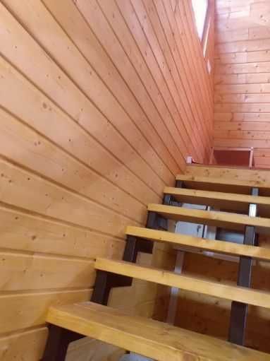 Działka rod Złotkowo. Zdjęcie 7