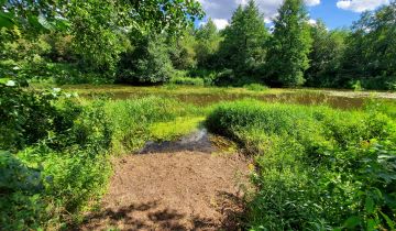 Działka rekreacyjna Czerwona Wola