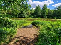 Działka rekreacyjna Czerwona Wola. Zdjęcie 1