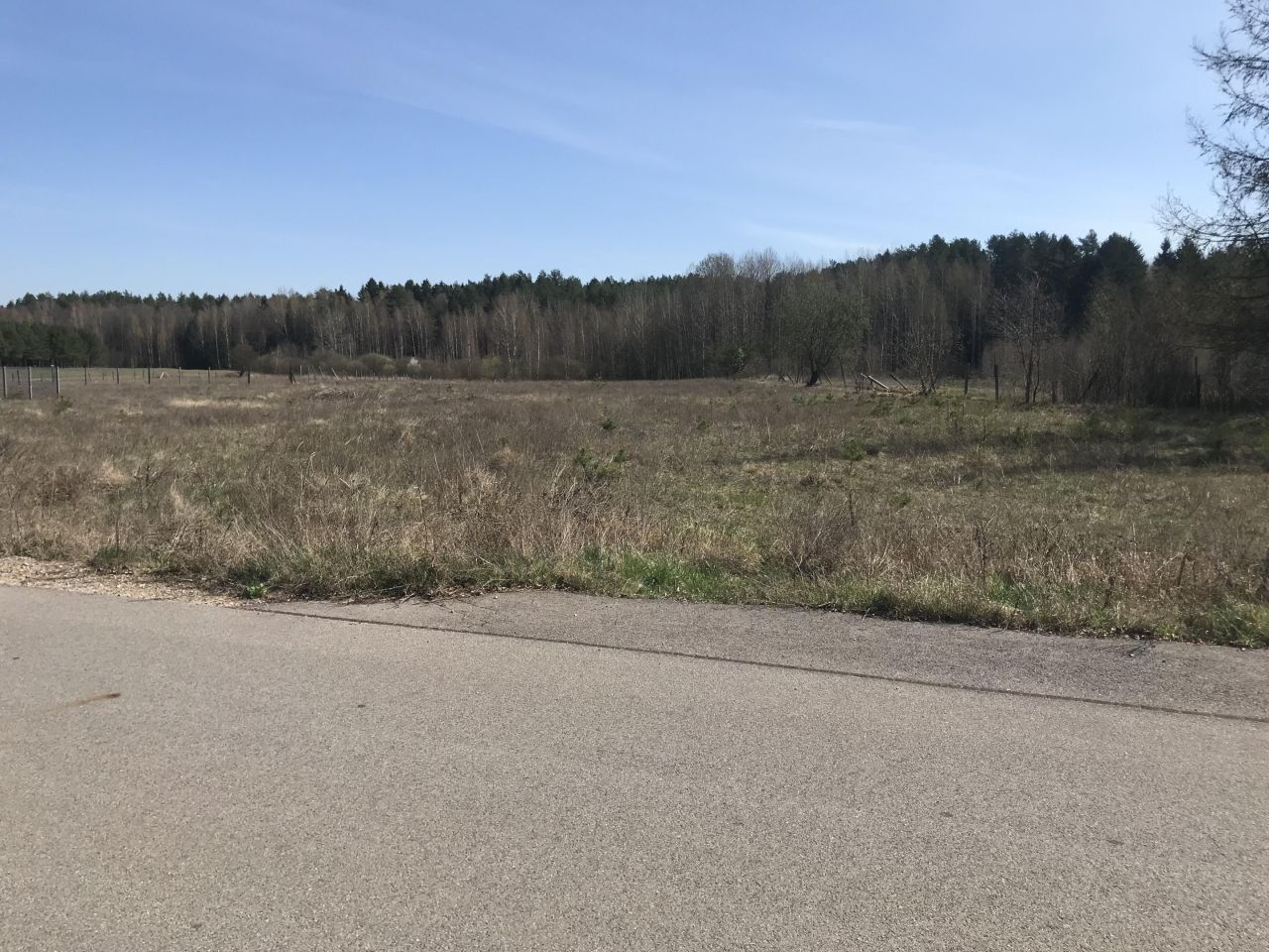 Działka rolno-budowlana Mołowiste. Zdjęcie 3