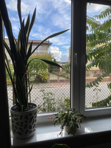 dom szeregowy, 2 pokoje Ozorków Piekło, ul. Jana Kochanowskiego. Zdjęcie 20