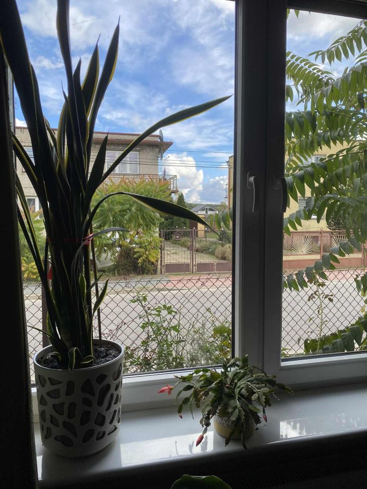 dom szeregowy, 2 pokoje Ozorków Piekło, ul. Jana Kochanowskiego. Zdjęcie 20