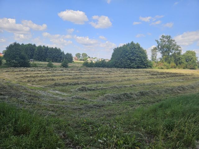 Działka rolna Runowo Krajeńskie. Zdjęcie 1