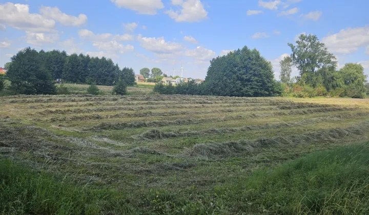 Działka rolna Runowo Krajeńskie