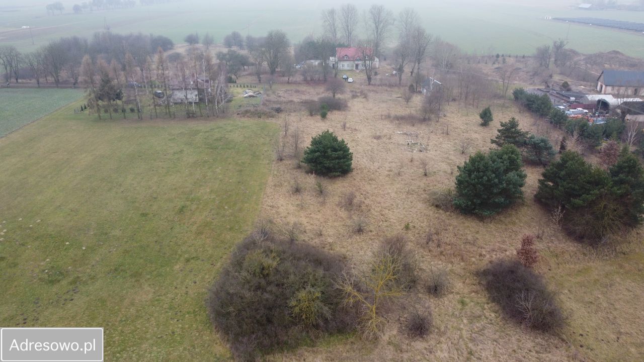 Działka rolna Wielęcin. Zdjęcie 2