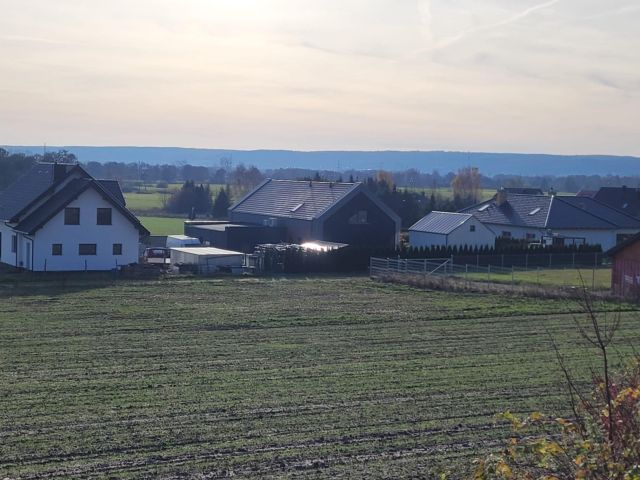 Działka budowlana Połchowo, ul. Wrzosowa. Zdjęcie 1