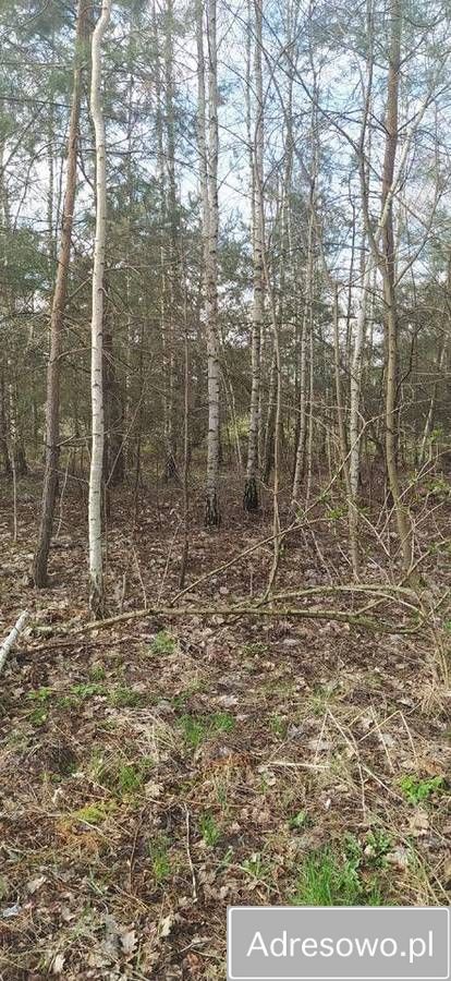 Działka budowlana Stary Sławacinek. Zdjęcie 5