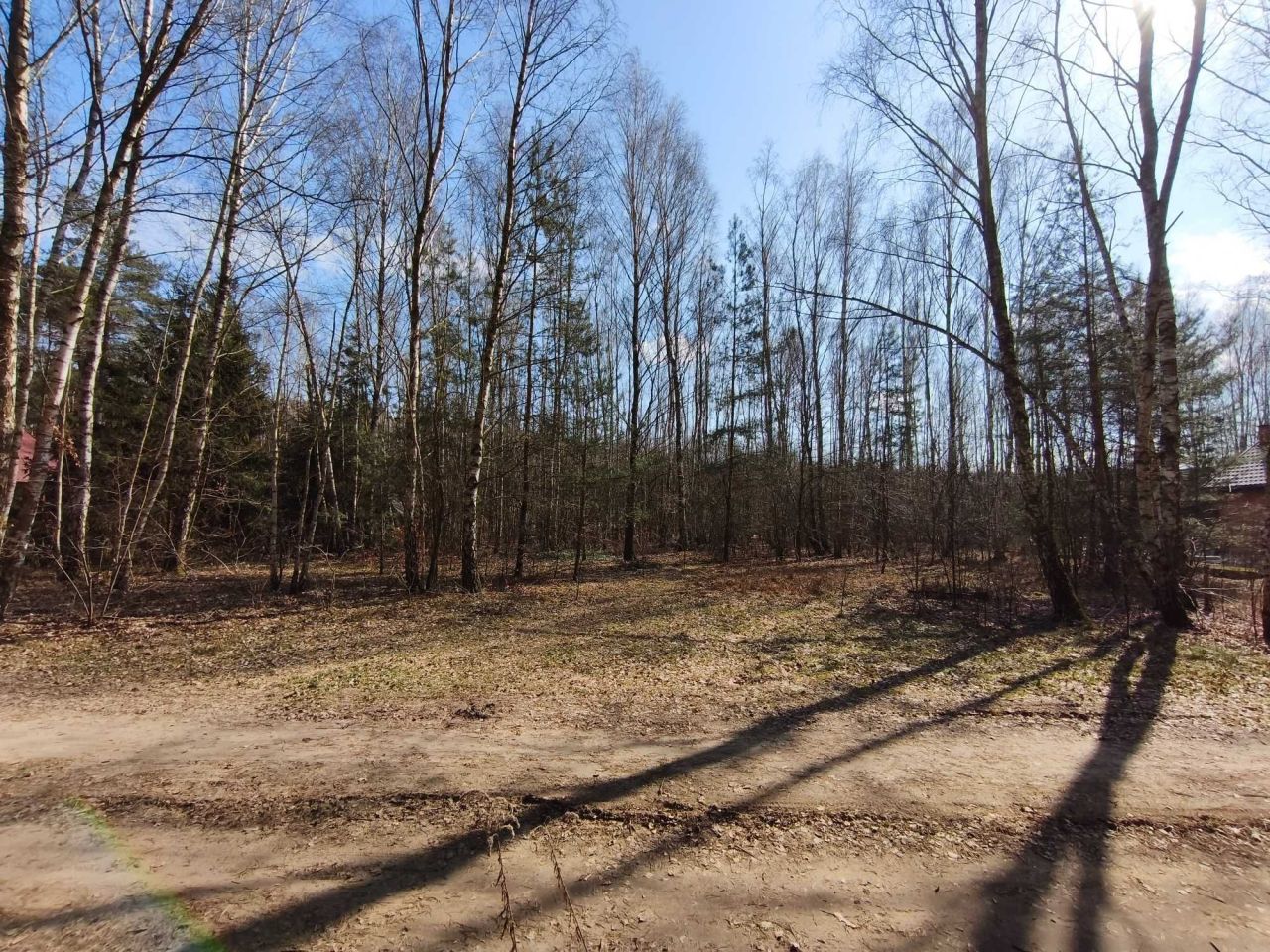 Działka Cyprianów. Zdjęcie 5