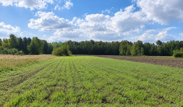 Działka budowlana Kolonia Pożdżenice