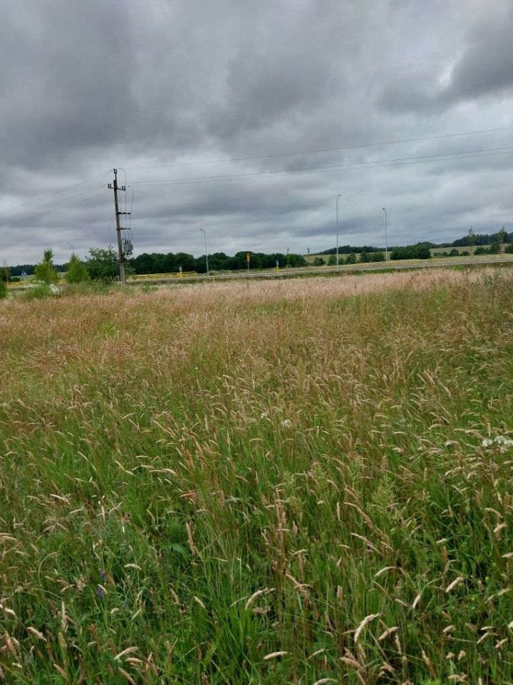 Działka budowlana Bydlino, ul. Orzechowa. Zdjęcie 6