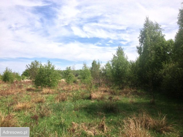Działka rolna Brzozówka. Zdjęcie 1