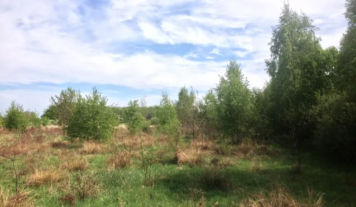 Działka rolna Brzozówka