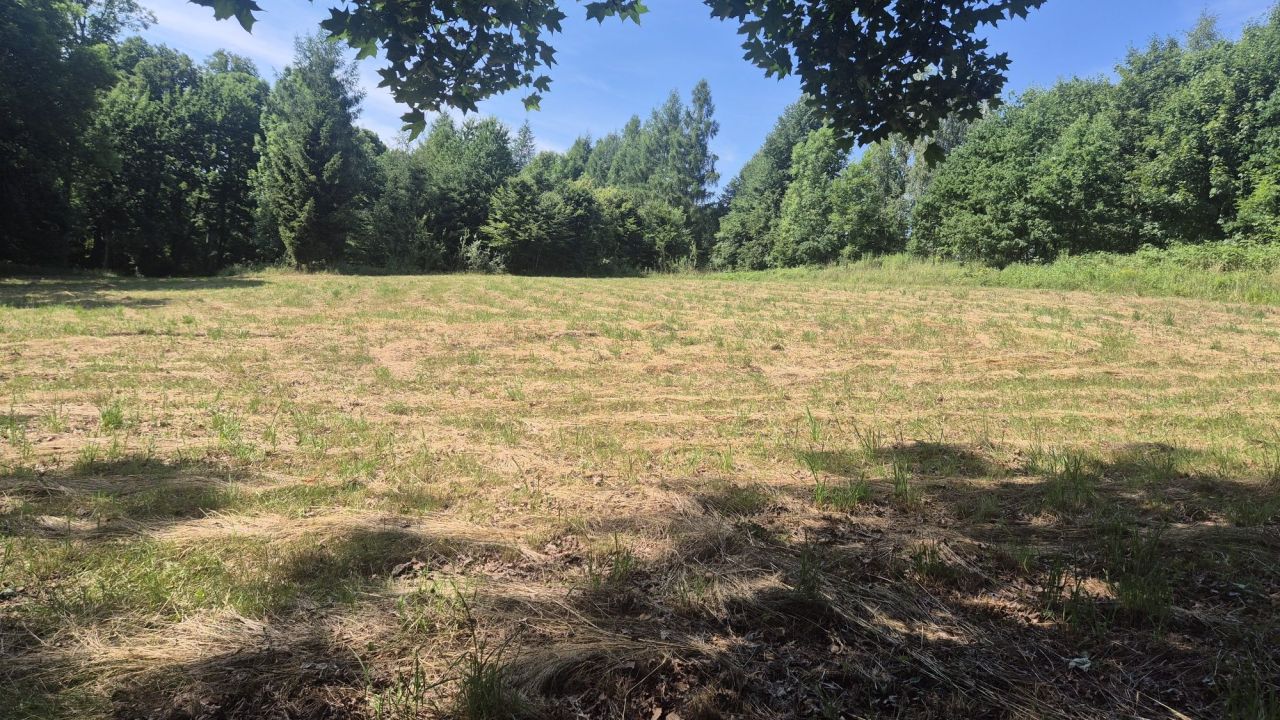 Działka rekreacyjna Świerzawa. Zdjęcie 3