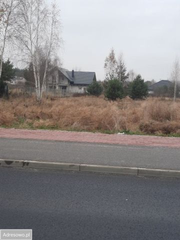 Działka budowlana Szczęsne, ul. Drozda. Zdjęcie 1