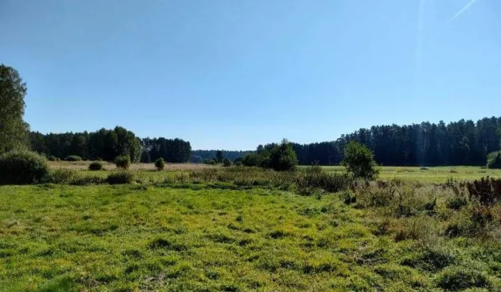 Działka rekreacyjna Wygoda