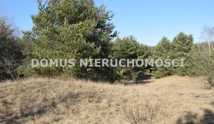 Działka leśna Tworzyjanki