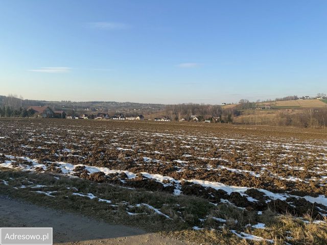 Działka rolno-budowlana Gosprzydowa. Zdjęcie 1