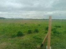 Działka budowlana Borówno. Zdjęcie 3